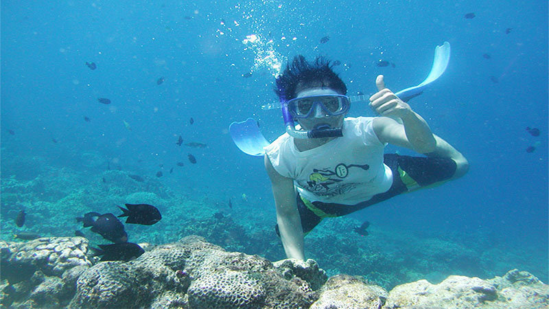 Snorkelling Snorkelling in Andaman