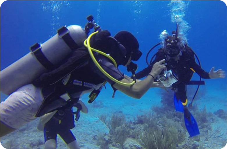 havelock-island-activities-scuba-diving Havelock Island Activities Scuba Diving