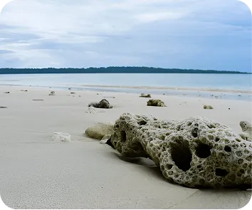 Andaman and Nicobar tour package from kolkata