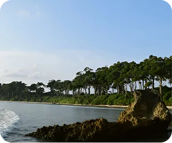 Andaman tour package from kolkata