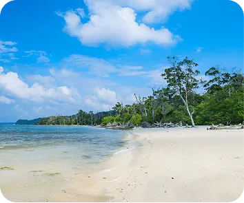 Complete Andaman tour package from kolkata