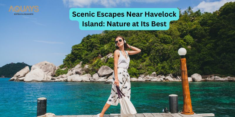 andaman tour guide from kolkata