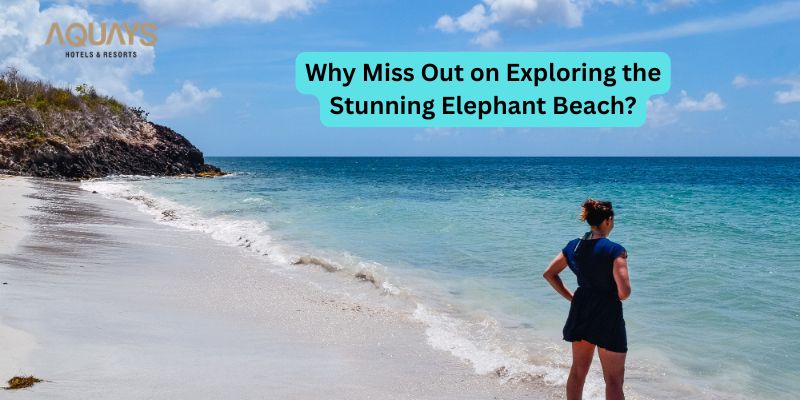 budget hotels in Havelock Island
