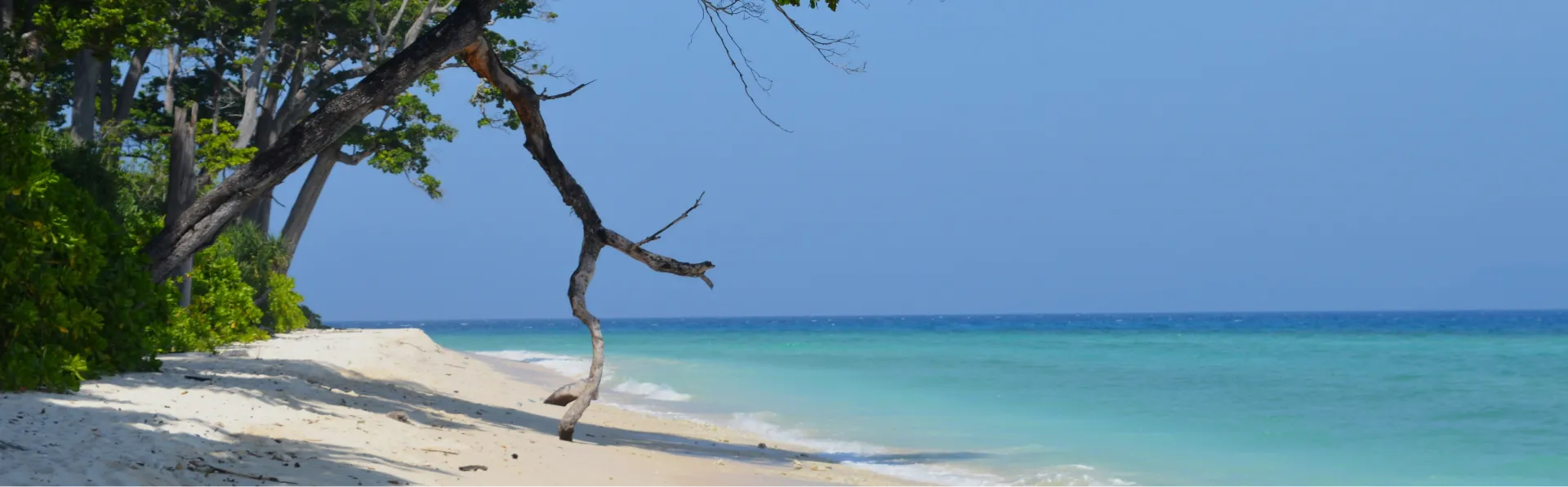 Andaman and Nicobar holiday package from Mumbai