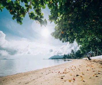 Complete Andaman tour package from Bengaluru