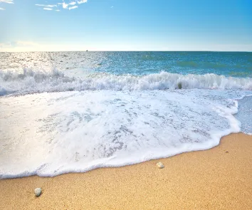 budget for andaman trip