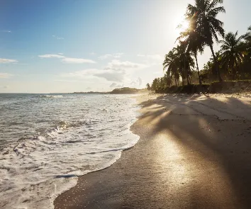 Andaman and Nicobar tour package from Bengaluru