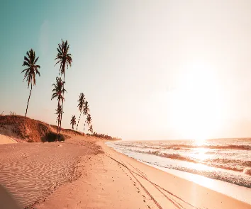 Andaman and Nicobar tour package from Mumbai
