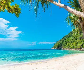 Andaman and Nicobar tour package from Delhi