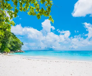 Andaman and Nicobar tour package from Pune