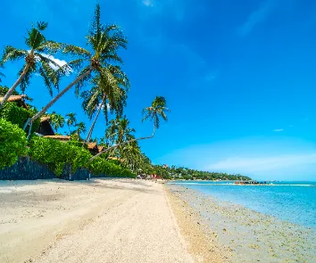 Complete Andaman tour package from Hyderabad