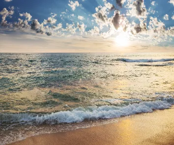 Complete Andaman tour package from Ahmedabad