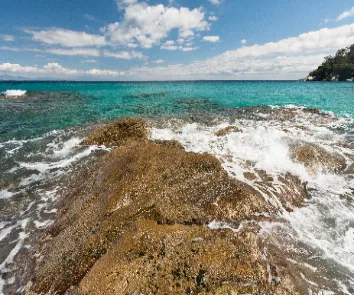 Andaman trip package from Hyderabad