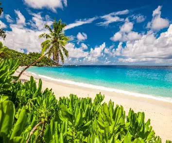 budget for andaman trip