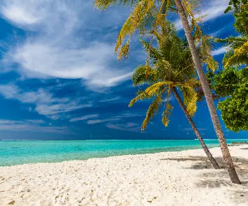 budget for andaman trip