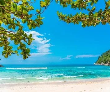 Andaman tour package from Hyderabad