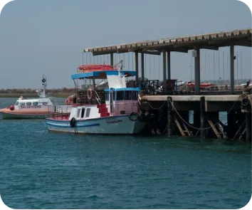 Andaman trip package from Patna