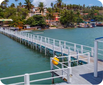 Andaman trip package from Surat