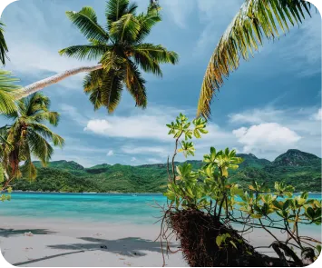 andaman trip plan