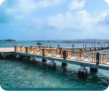 Andaman trip package from Kochi
