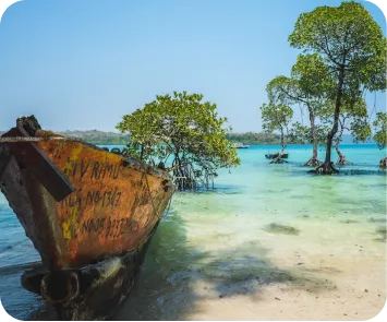 andaman trip plan