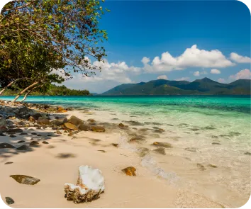 Andaman tour package from Srinagar