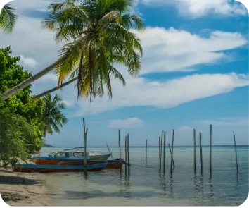 Andaman tour package from Agra