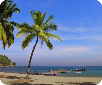 andaman trip plan