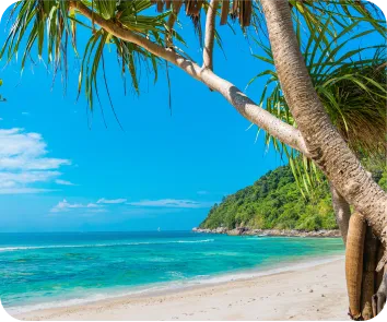 Andaman tour package from Bhopal