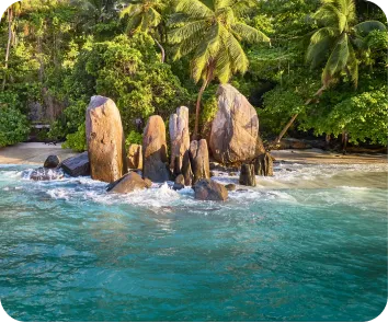 Andaman tour package from Gujarat