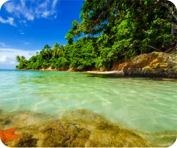 Andaman tour package from Jaipur
