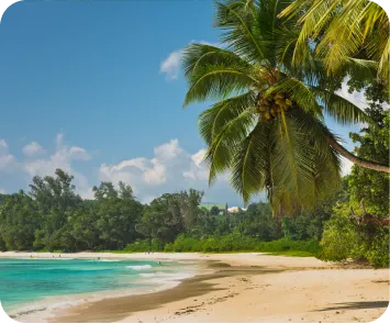 andaman trip plan