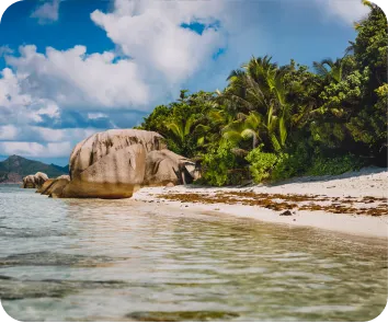 budget for andaman trip