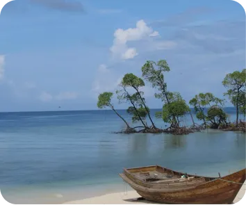 budget for andaman trip