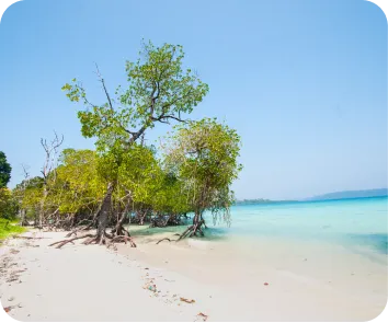 budget for andaman trip