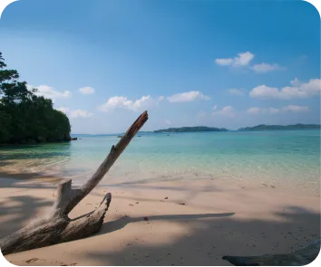 budget for andaman trip