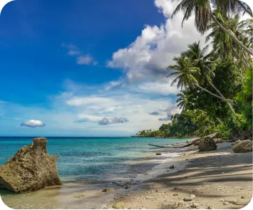 andaman trip plan