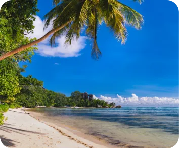 budget for andaman trip