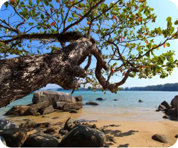 budget for andaman trip