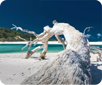 budget for andaman trip
