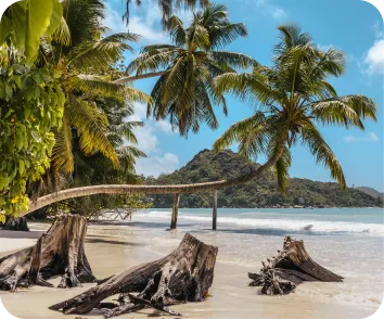 budget for andaman trip
