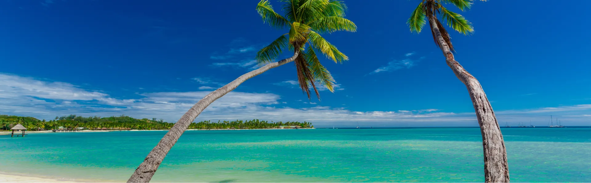Andaman and Nicobar holiday package from Srinagar