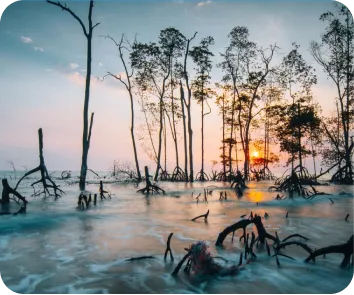 Andaman and Nicobar tour package from Assam