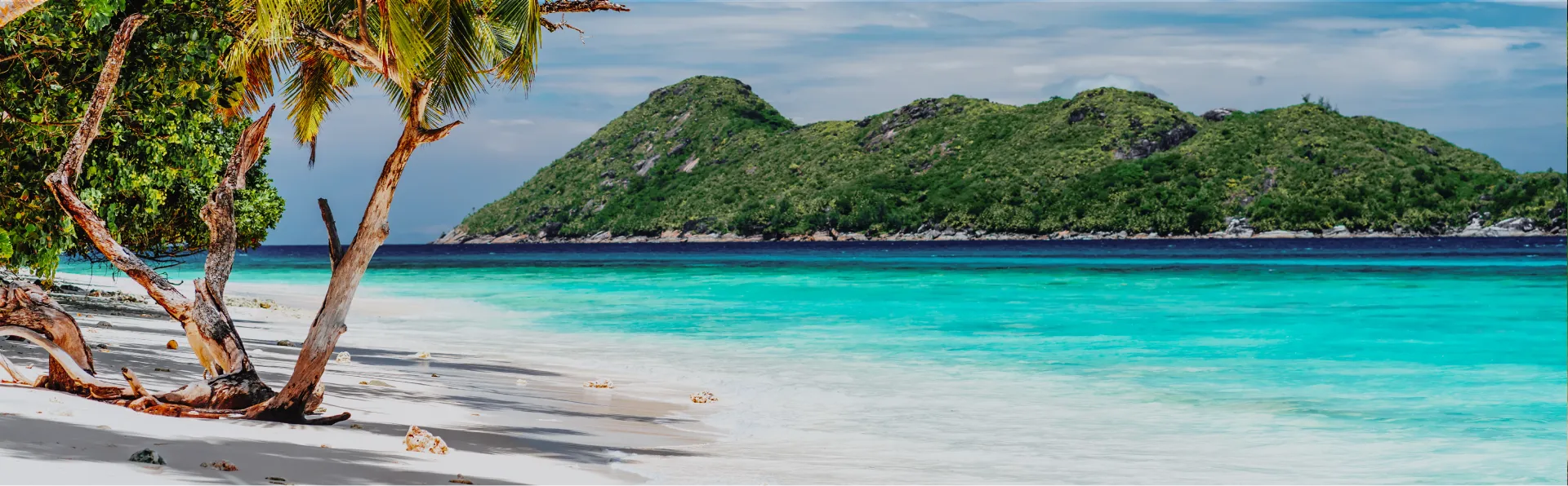 Andaman and Nicobar holiday package from Gujarat