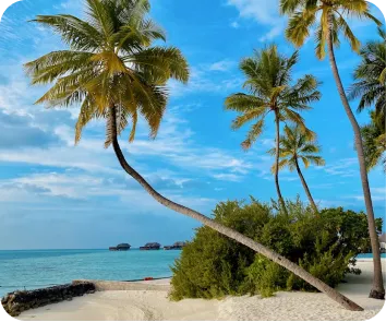 Andaman and Nicobar tour package from Assam