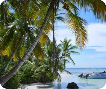 Andaman and Nicobar tour package from Indore