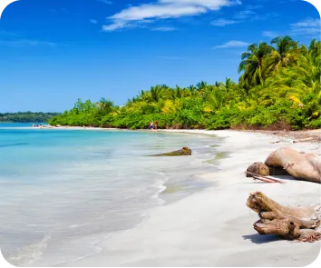 Andaman and Nicobar tour package from Kochi