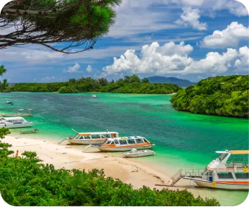 Andaman and Nicobar tour package from Srinagar