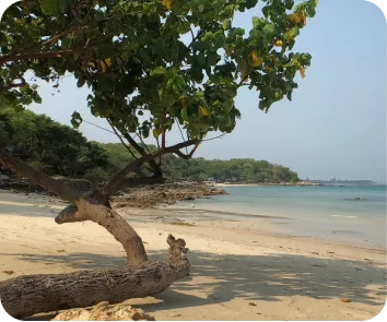 Andaman and Nicobar tour package from Agra