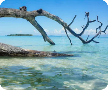 Andaman and Nicobar tour package from Ajmer